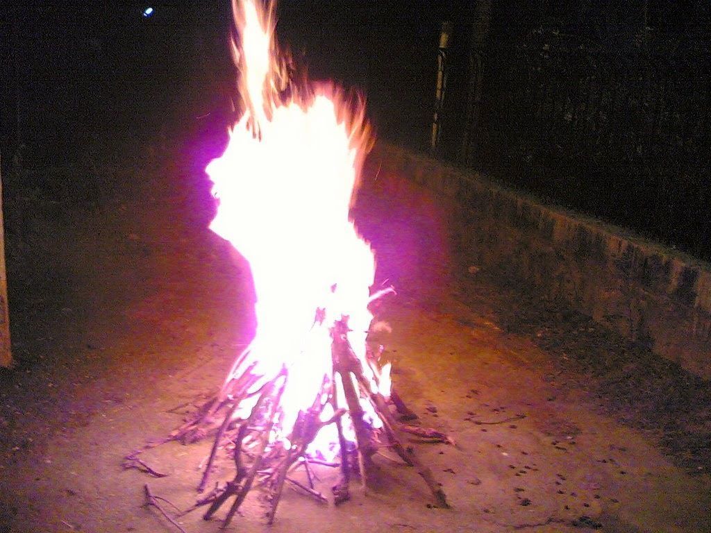 1024x768 Bhogi 2015