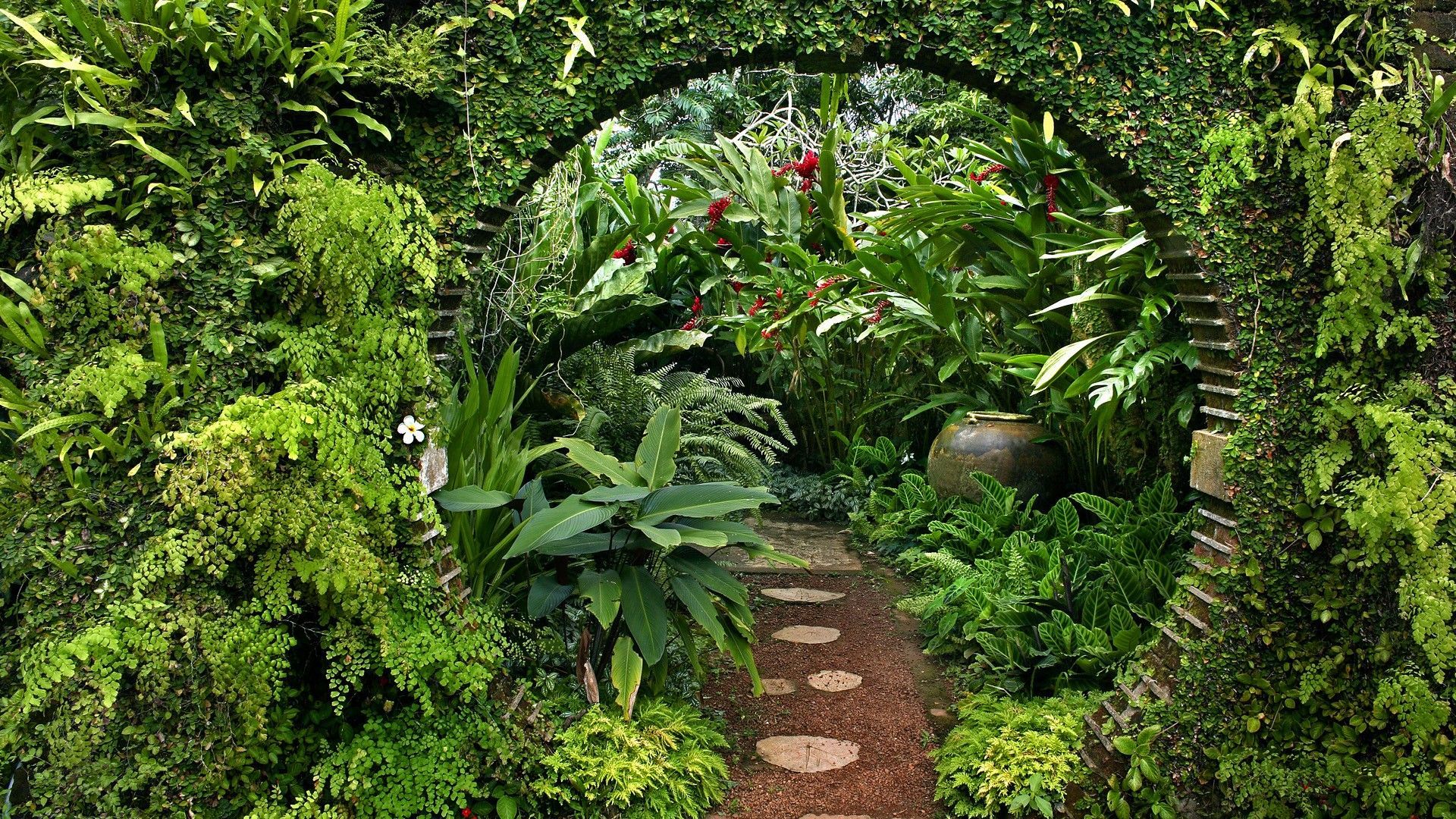 1920x1080 Nature flowers garden plants gate Sri