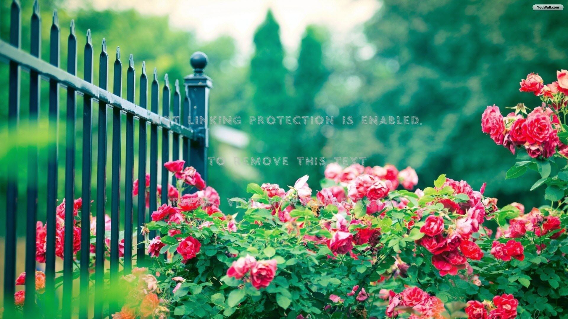 1920x1080 Garden Fence Wallpaper