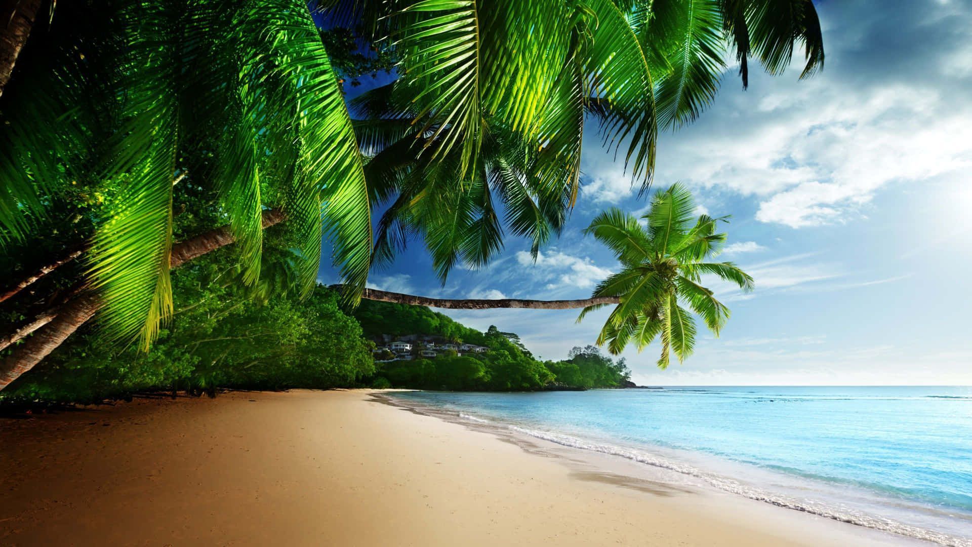 1920x1080 Paradise Background