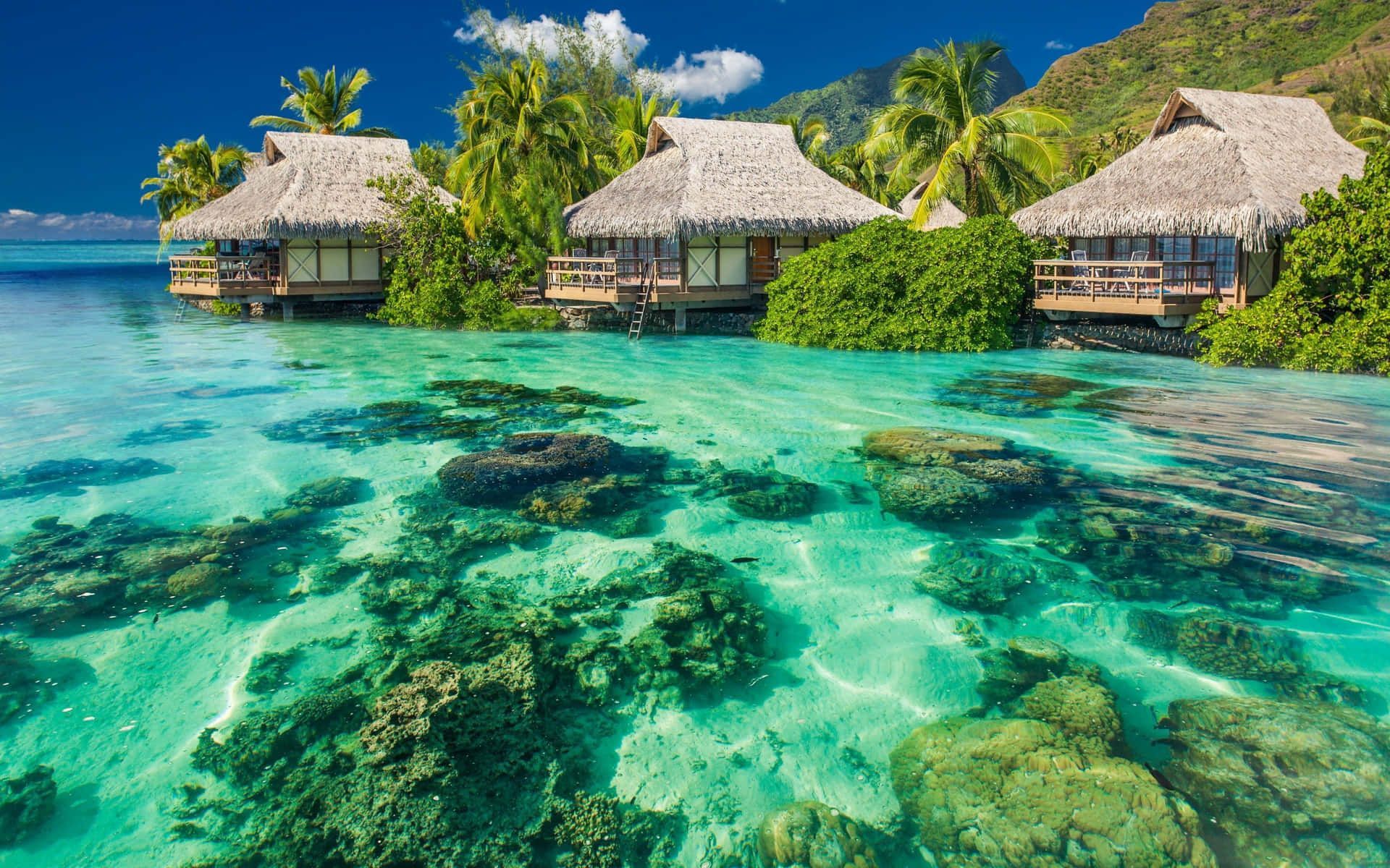 1920x1200 Paradise Background