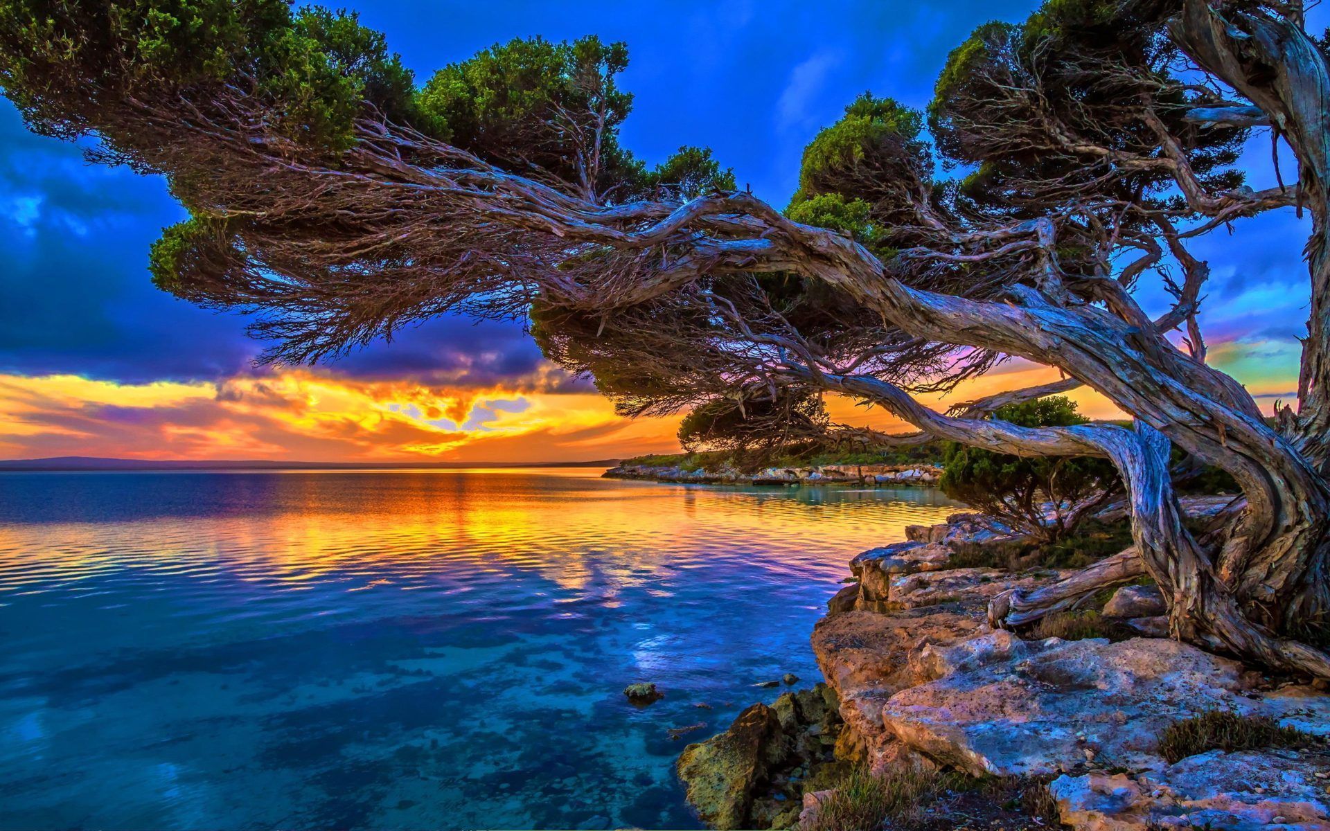 1920x1200 Coastal Sunset In Park Lakeshore