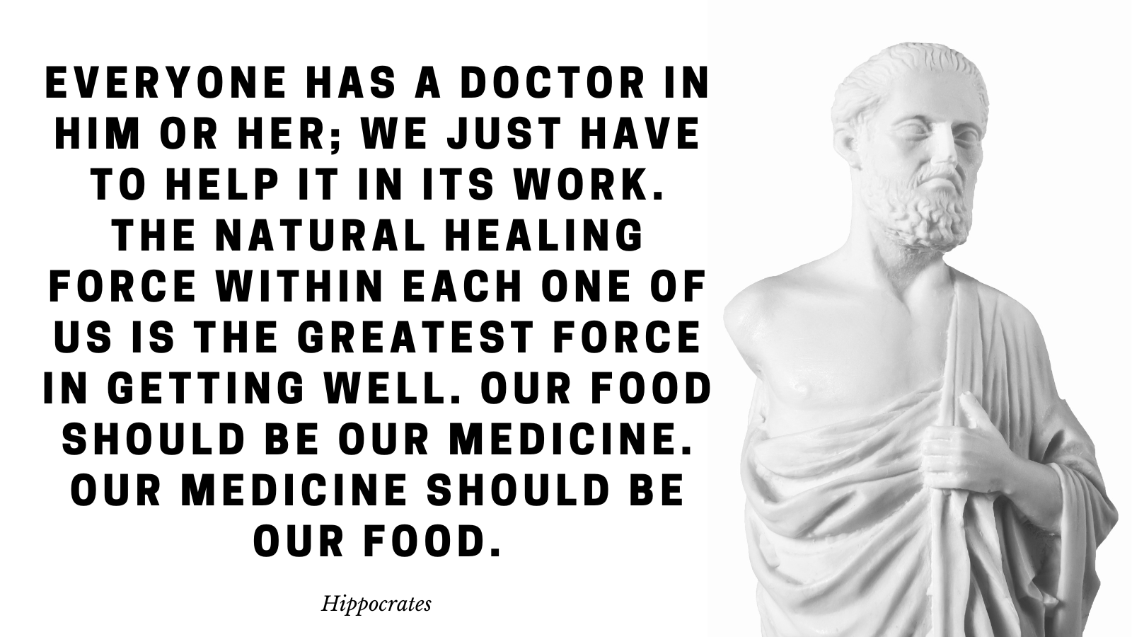 1600x900 Hippocrates Quotes