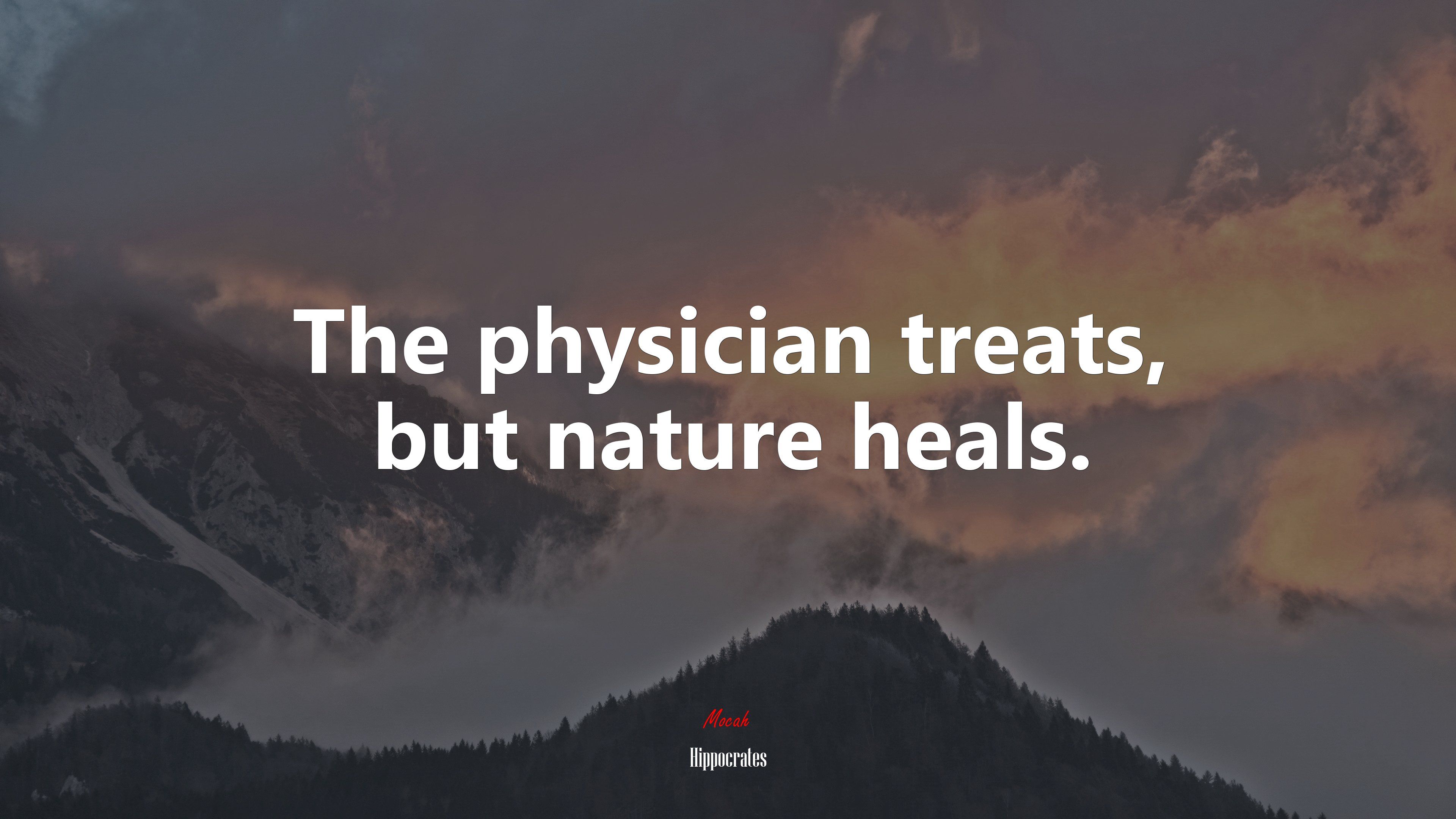 3840x2160 The physician treats, but nature heals