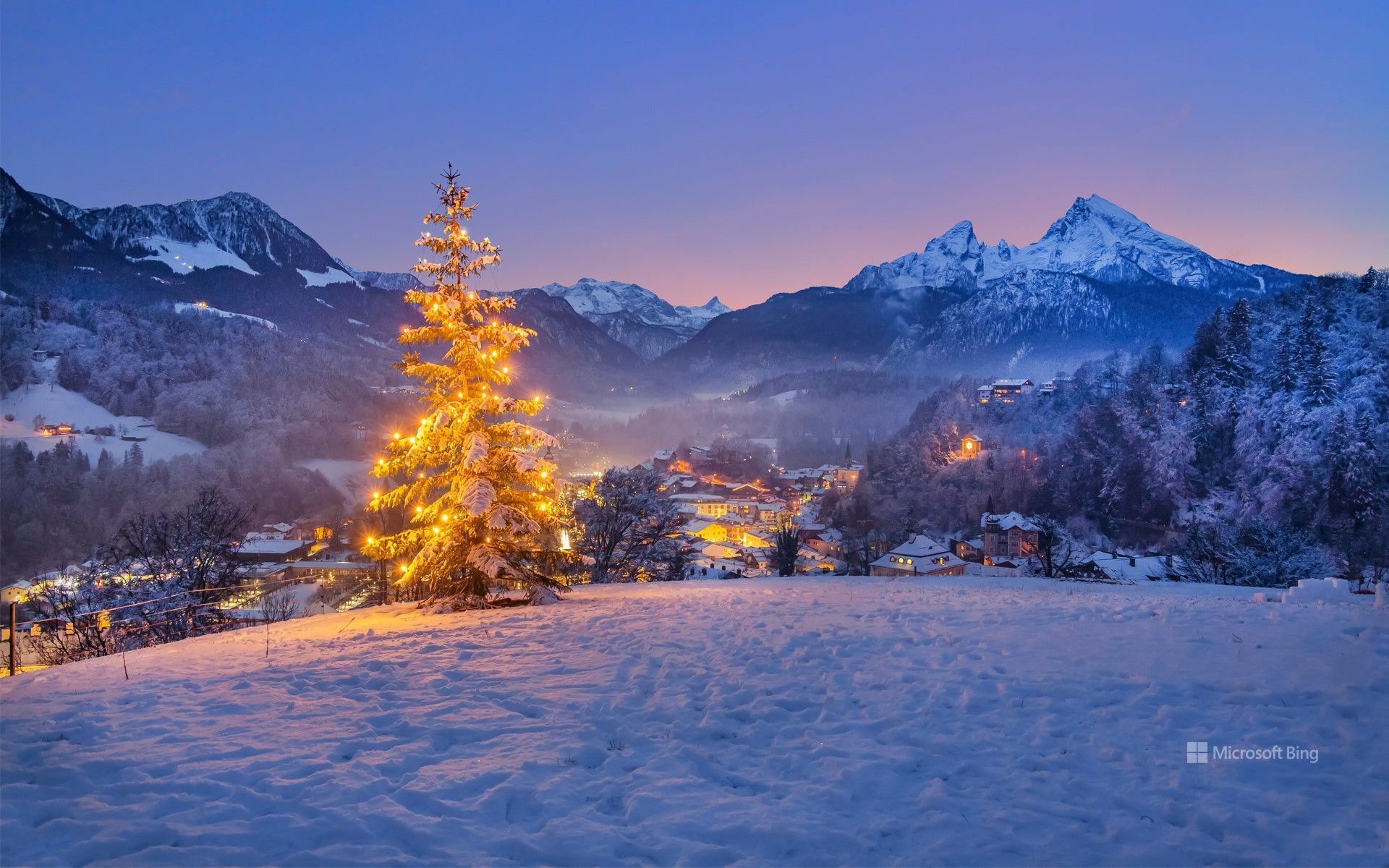 1920x1200 Christmas tree near Berchtesgaden