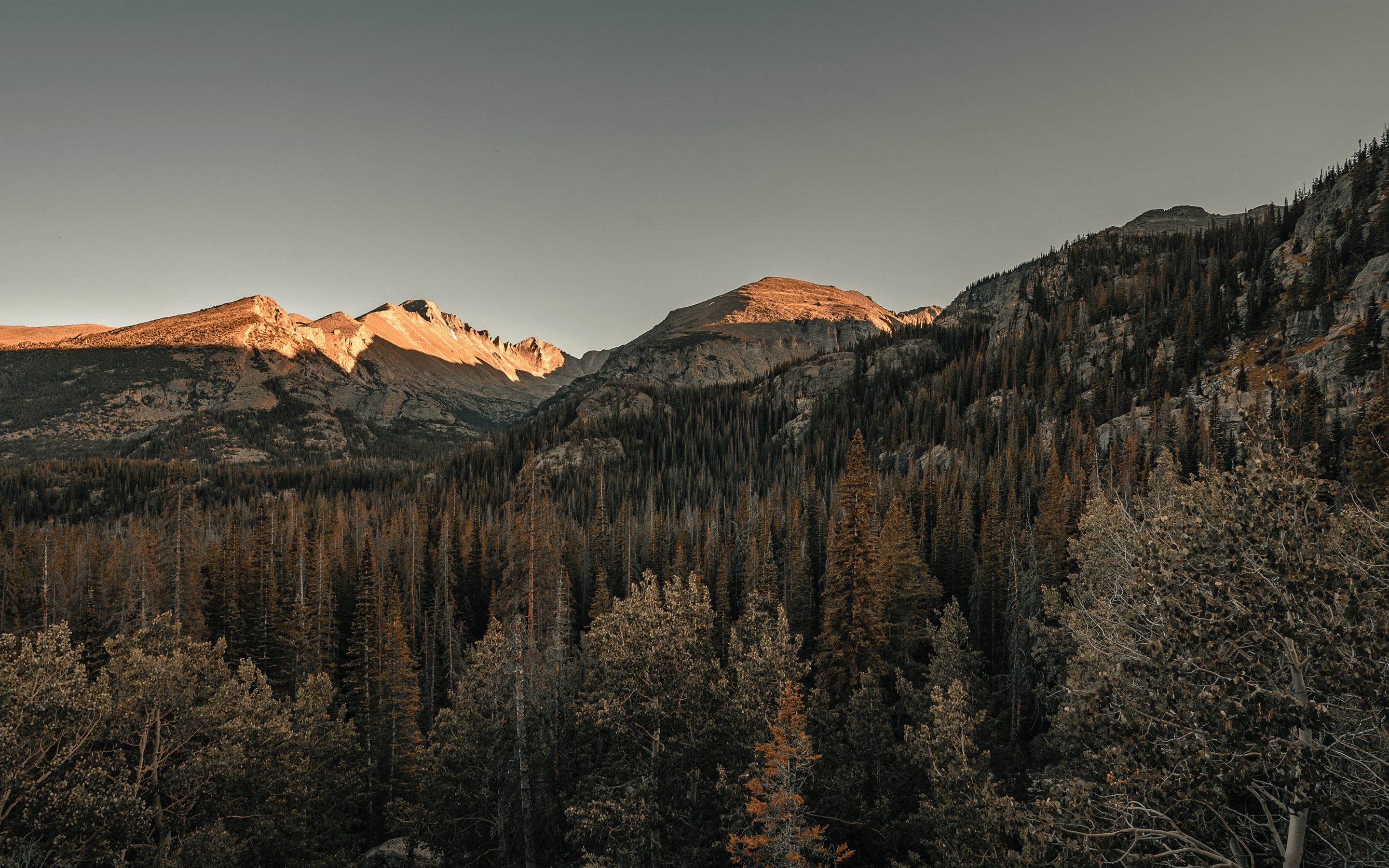 2880x1800 brown and black mountain painting