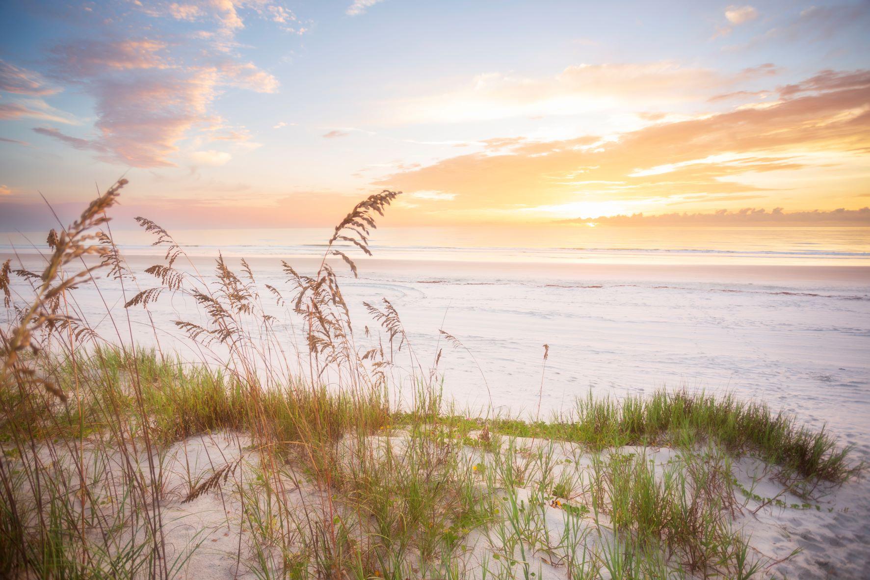 1773x1182 Sunrise on the dunes, St. Augustine