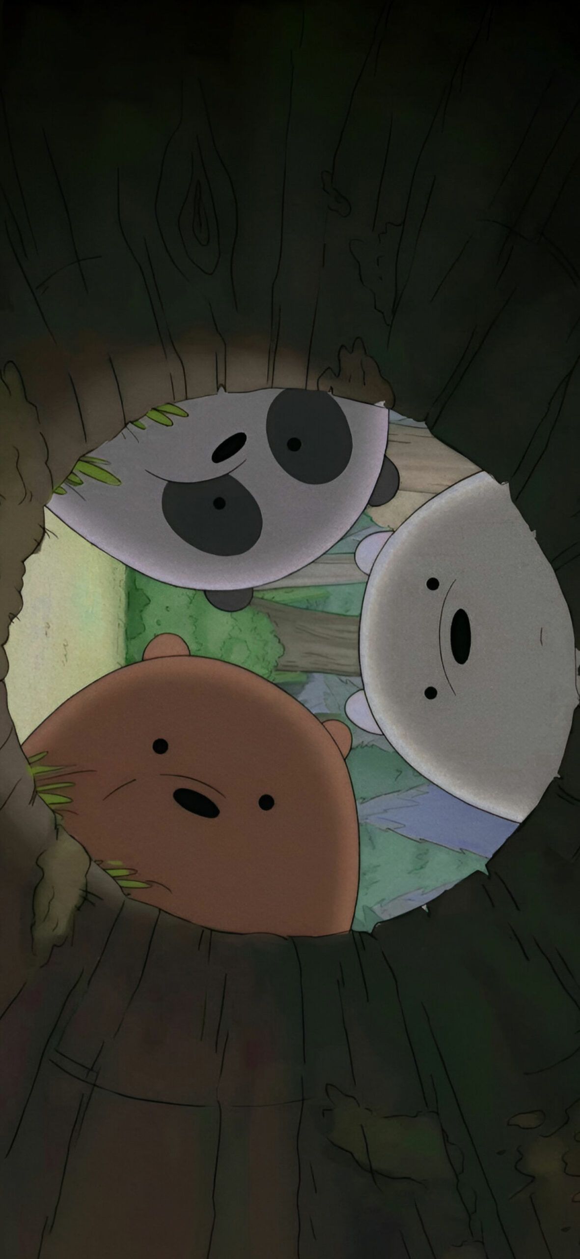 1181x2560 We Bare Bears Curious Wallpaper