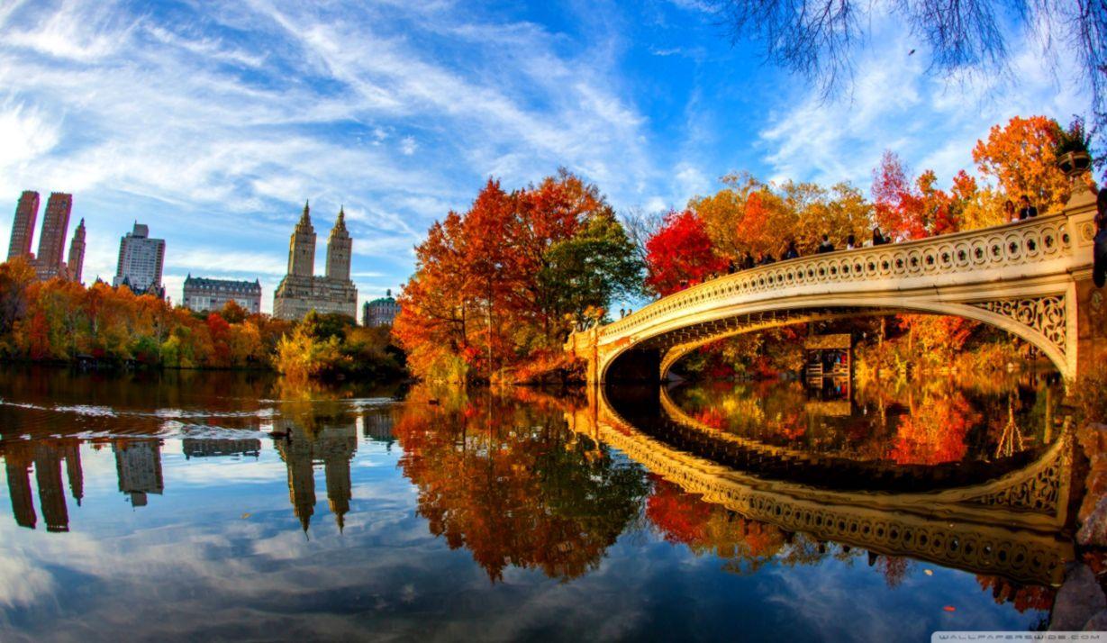 1229x714 Central Park Wallpaper