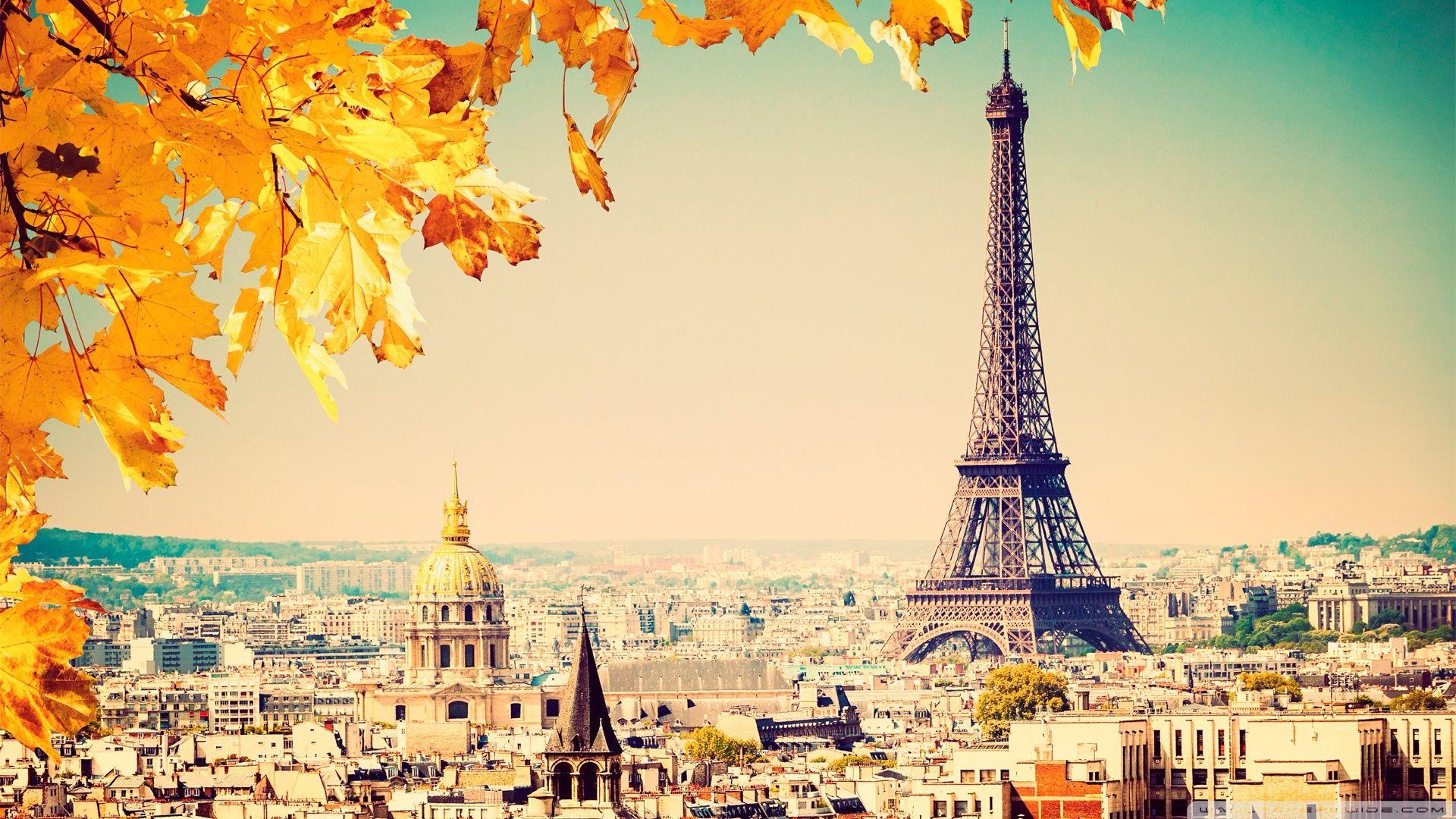 1920x1080 Paris tree ❤ 4K HD Desktop Wallpaper for 4K Ultra