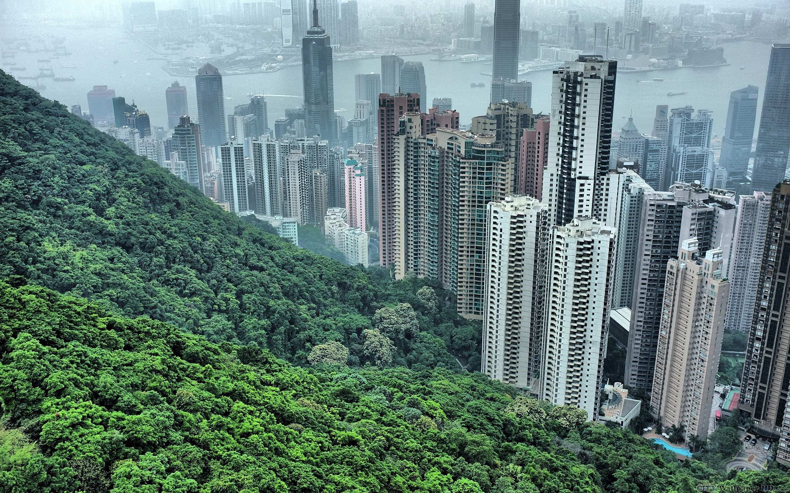 Hong Kong City Wallpapers - Top Free Hong Kong City Backgrounds ...