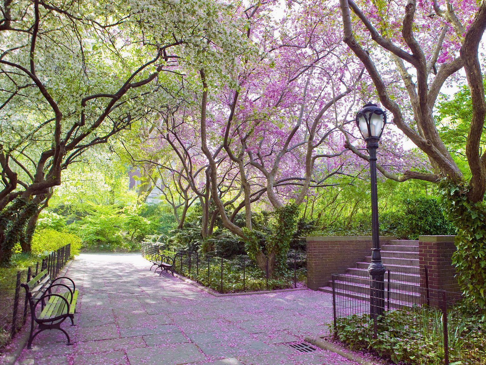 1600x1200 Central Park New York Spring.. HD Wallpaper