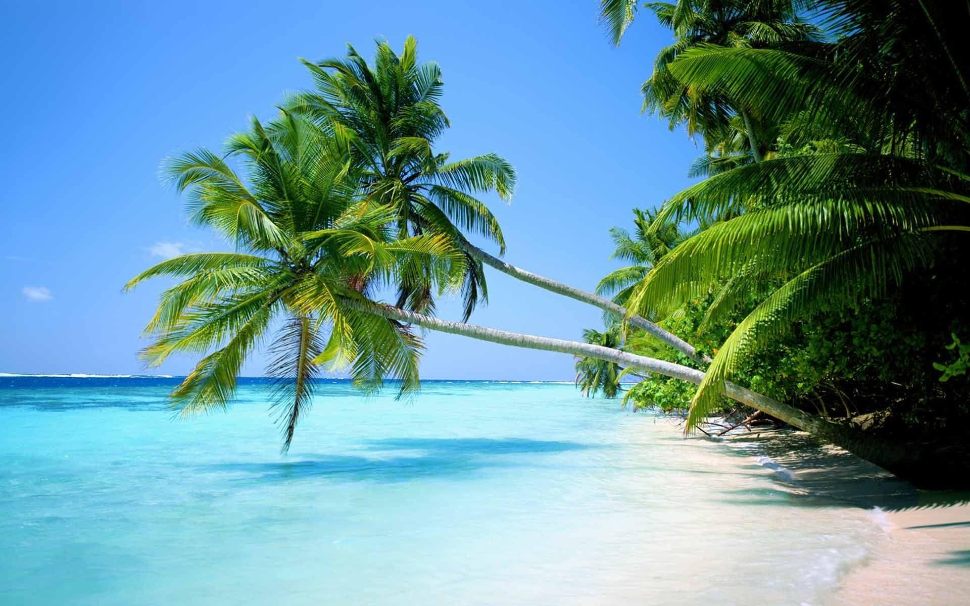1920x1200 Latest Puerto Rico Beaches Wallpaper FULL HD 1920×1080