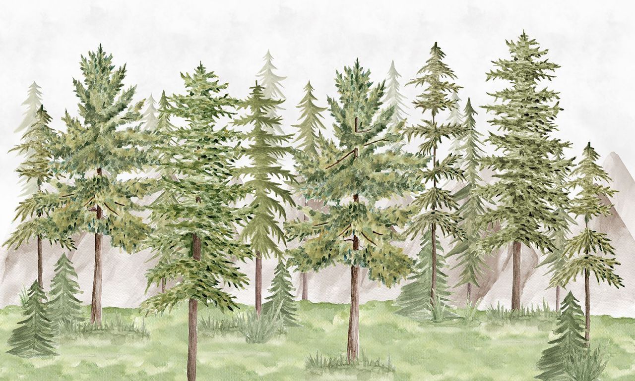 1280x769 Watercolor Pine Tree Forest Peel