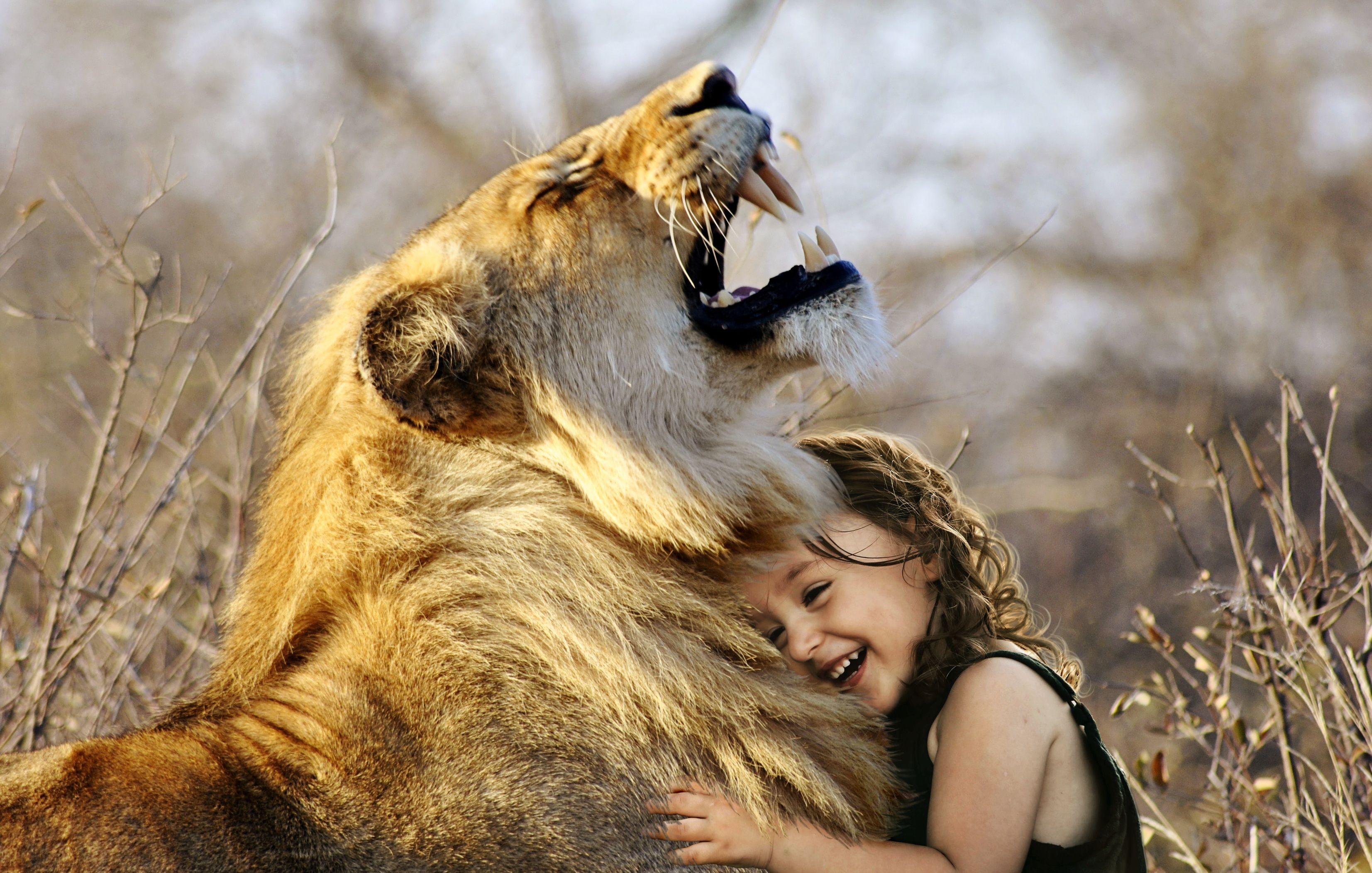 3306x2103 Little Girl Hugs Lion Roaring Cute 4k, HD Animals, 4k
