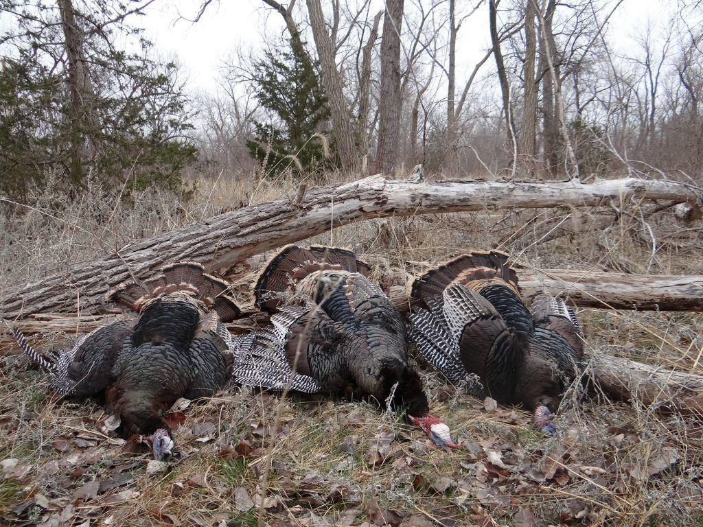 1024x768 Scouting Increases Success •NEBRASKALand Magazine