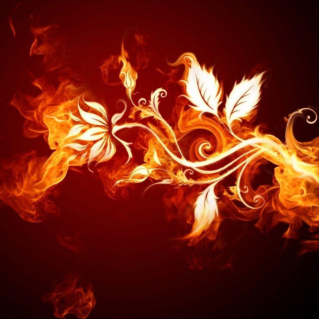 1024x1024 1024x1024 fire flowers wallpaper and background