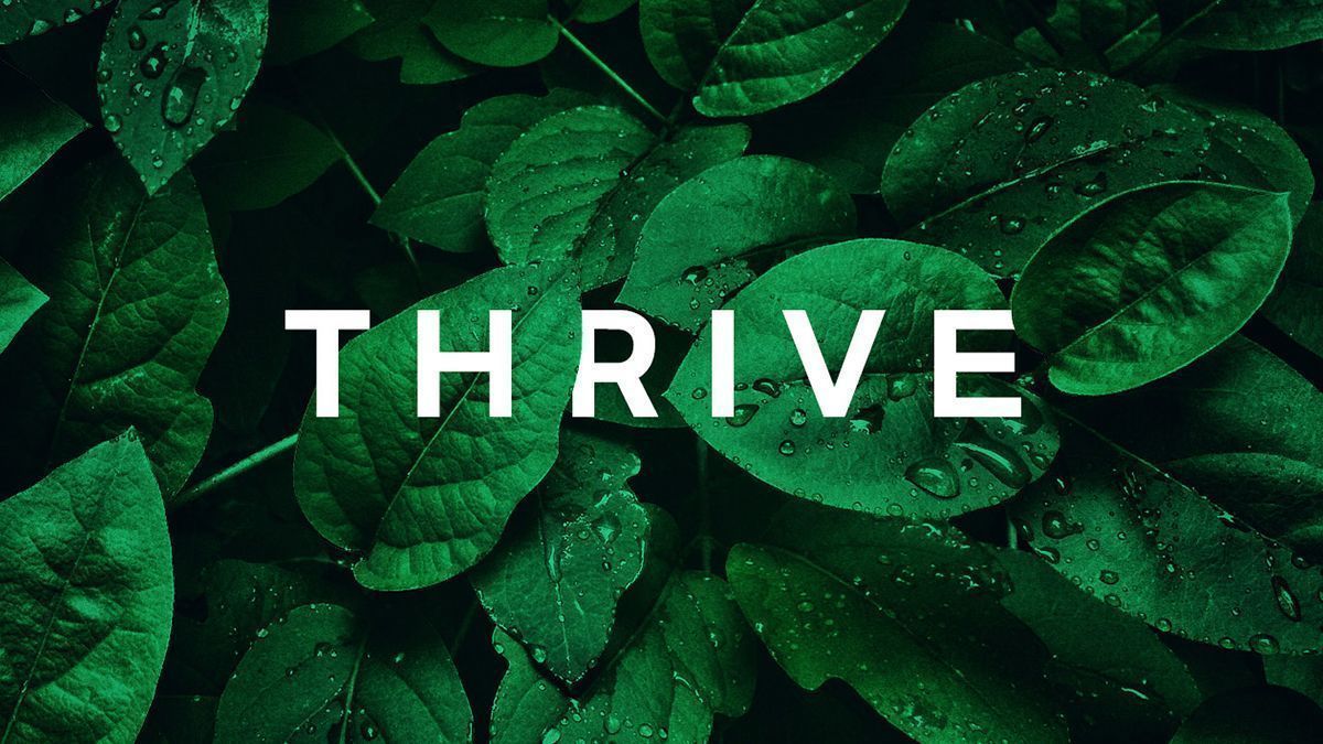 Thrive Wallpapers - Top Free Thrive Backgrounds - WallpaperAccess