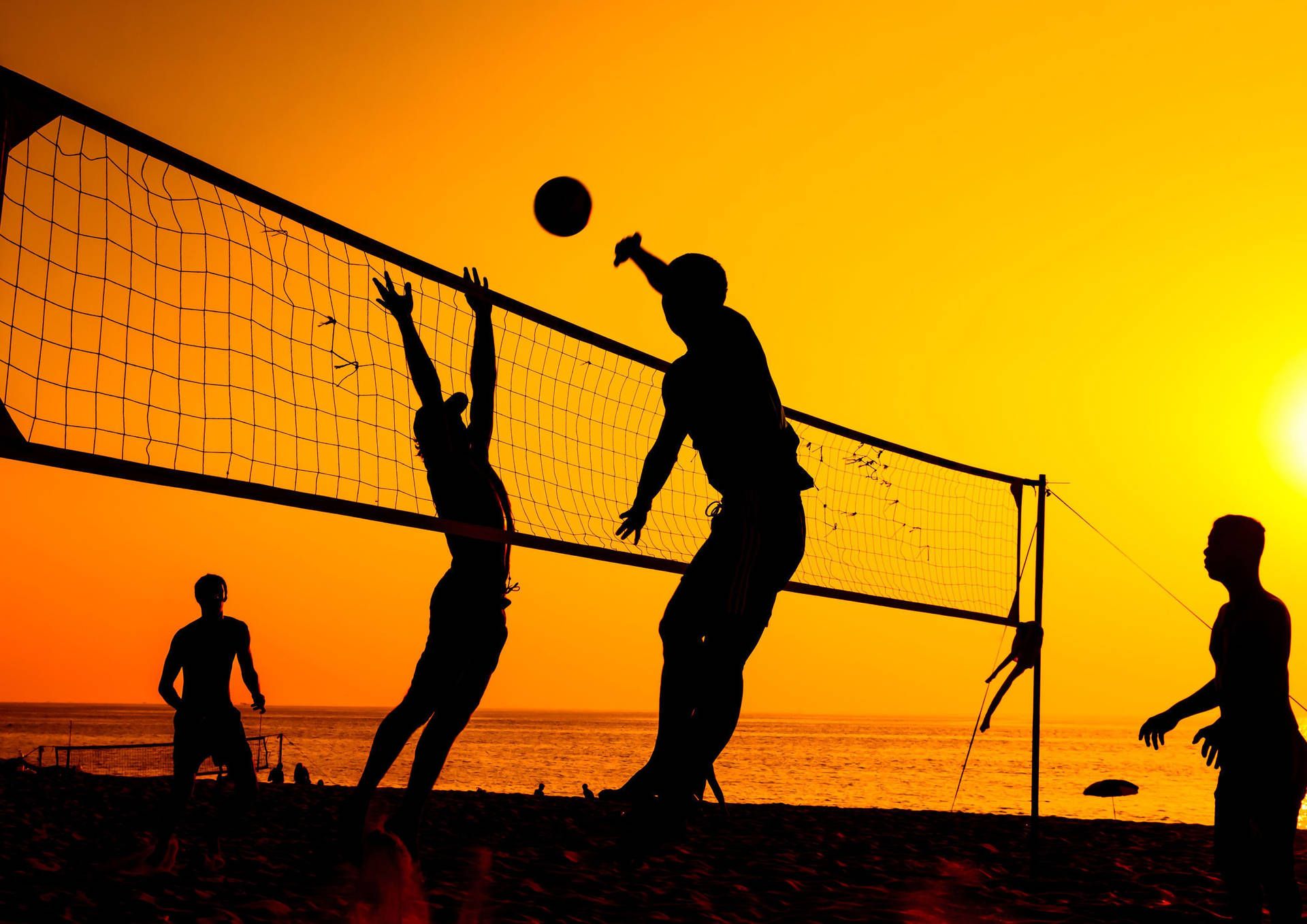 1920x1358 Volleyball Wallpaper