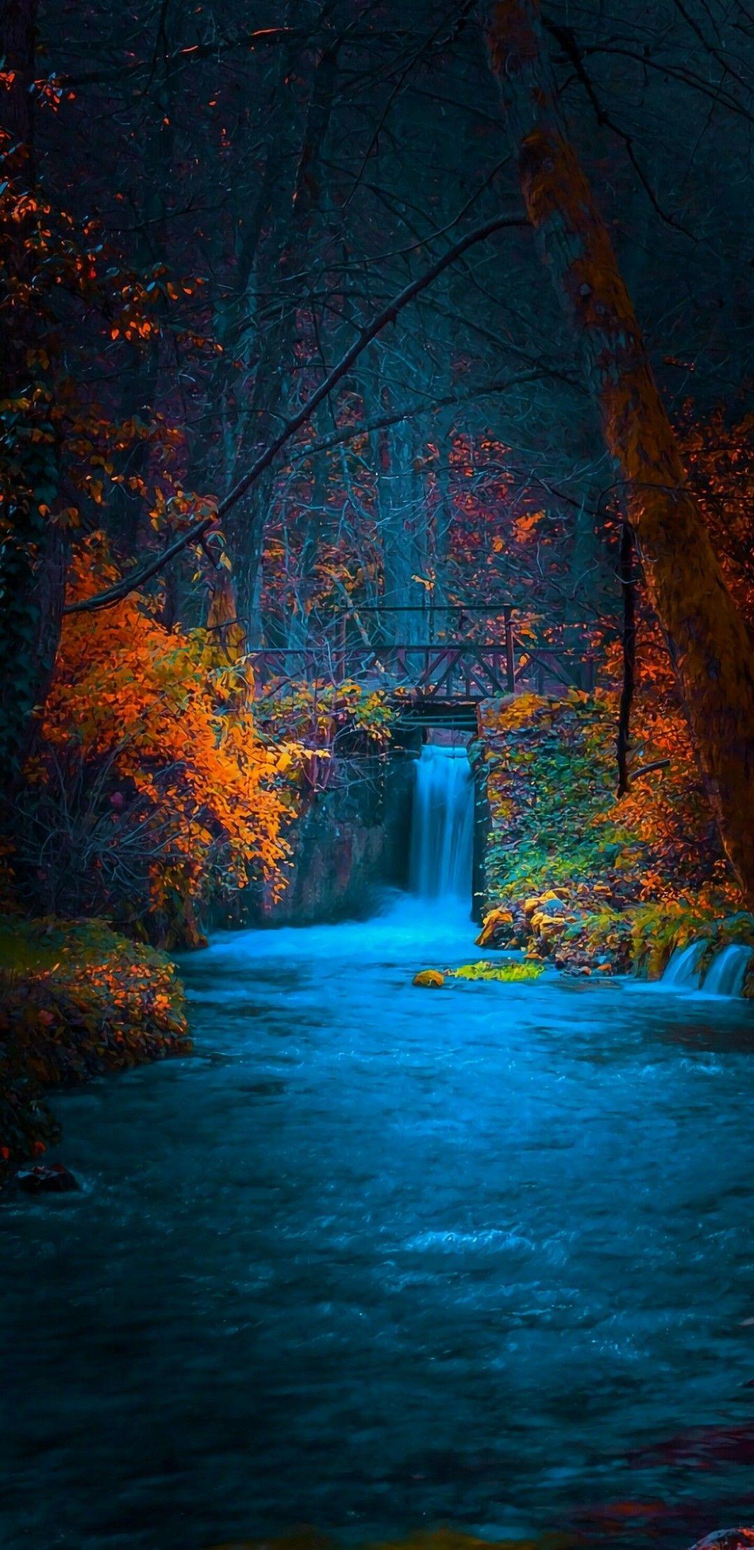 1080x2220 Wallpaper