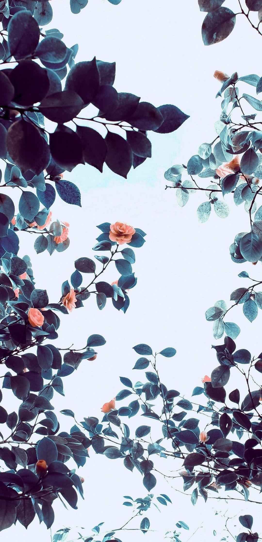 1080x2232 Wallpaper
