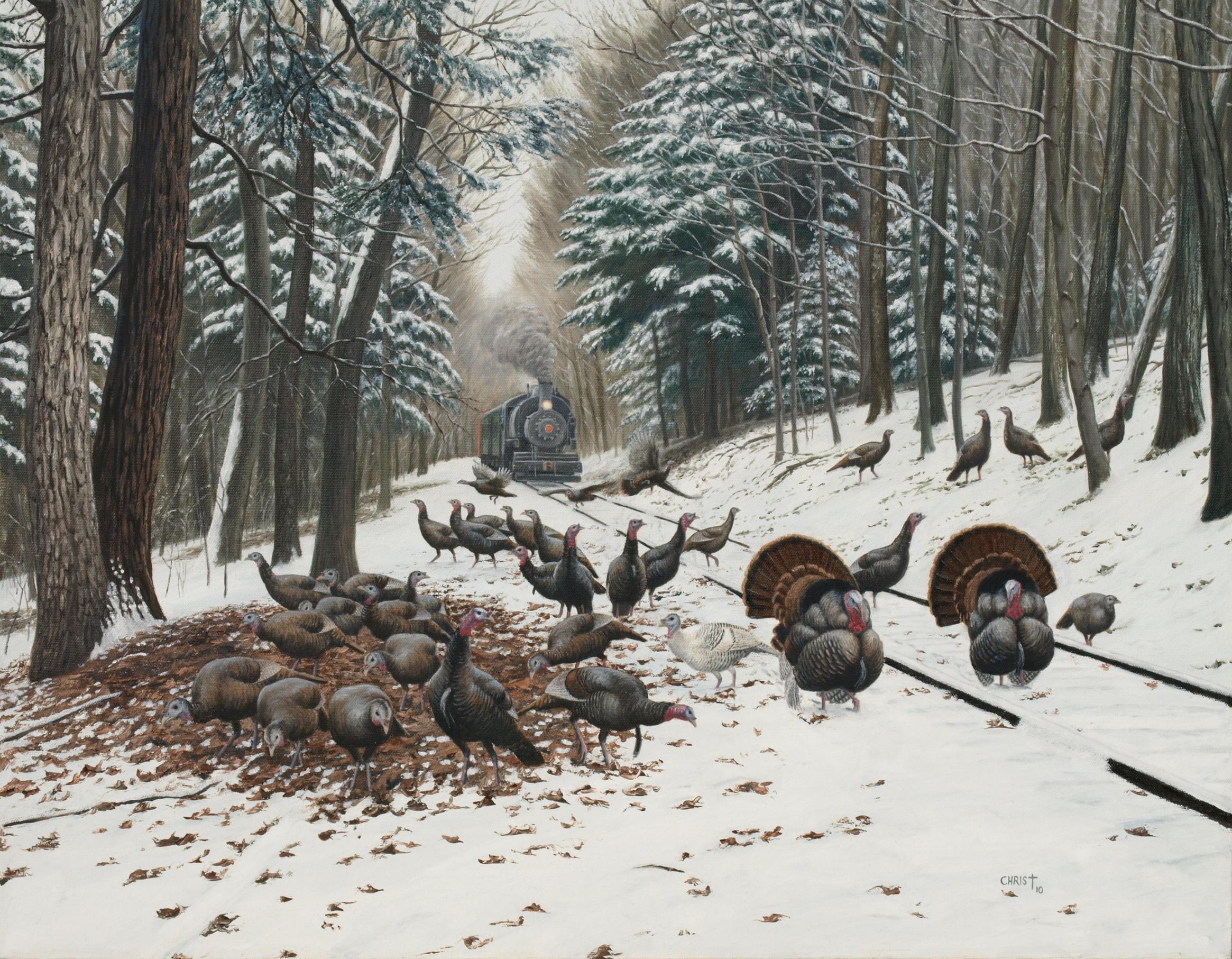 2330x1813 Wild Turkey Wallpaper Desktop