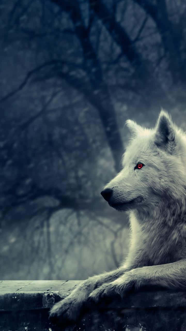 720x1280 Dire Wolf Wallpaper