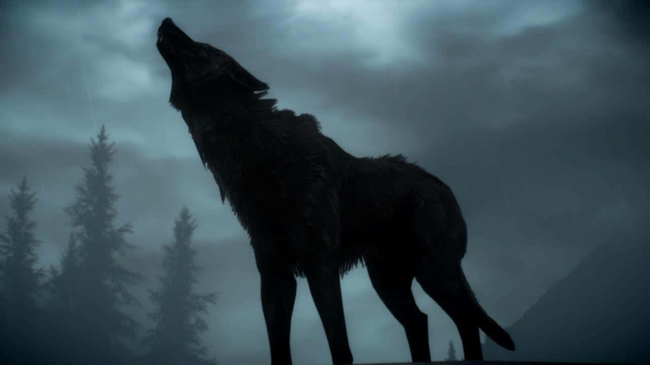 1280x720 Dire Wolf Wallpaper