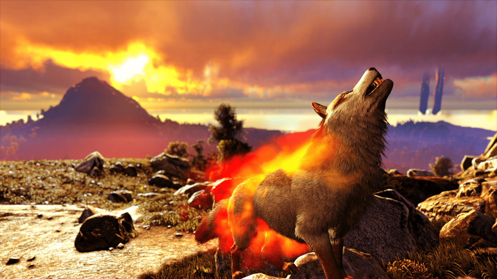 1600x900 Direwolf Howl Albums