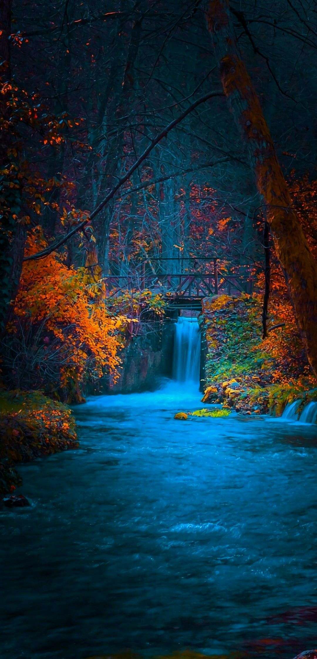 1080x2248 Wallpaper 104