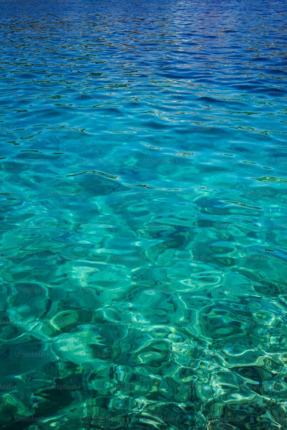 1000x1500 Marine Wallpaper Picture. Download