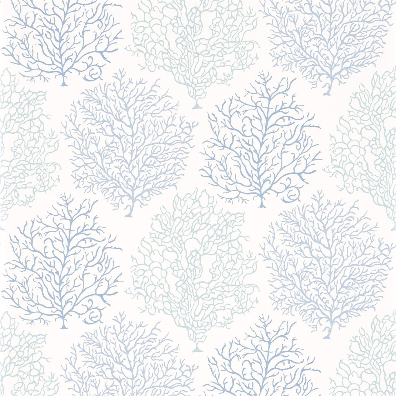 1366x1366 Coral Reef Marine Blue Wallpaper