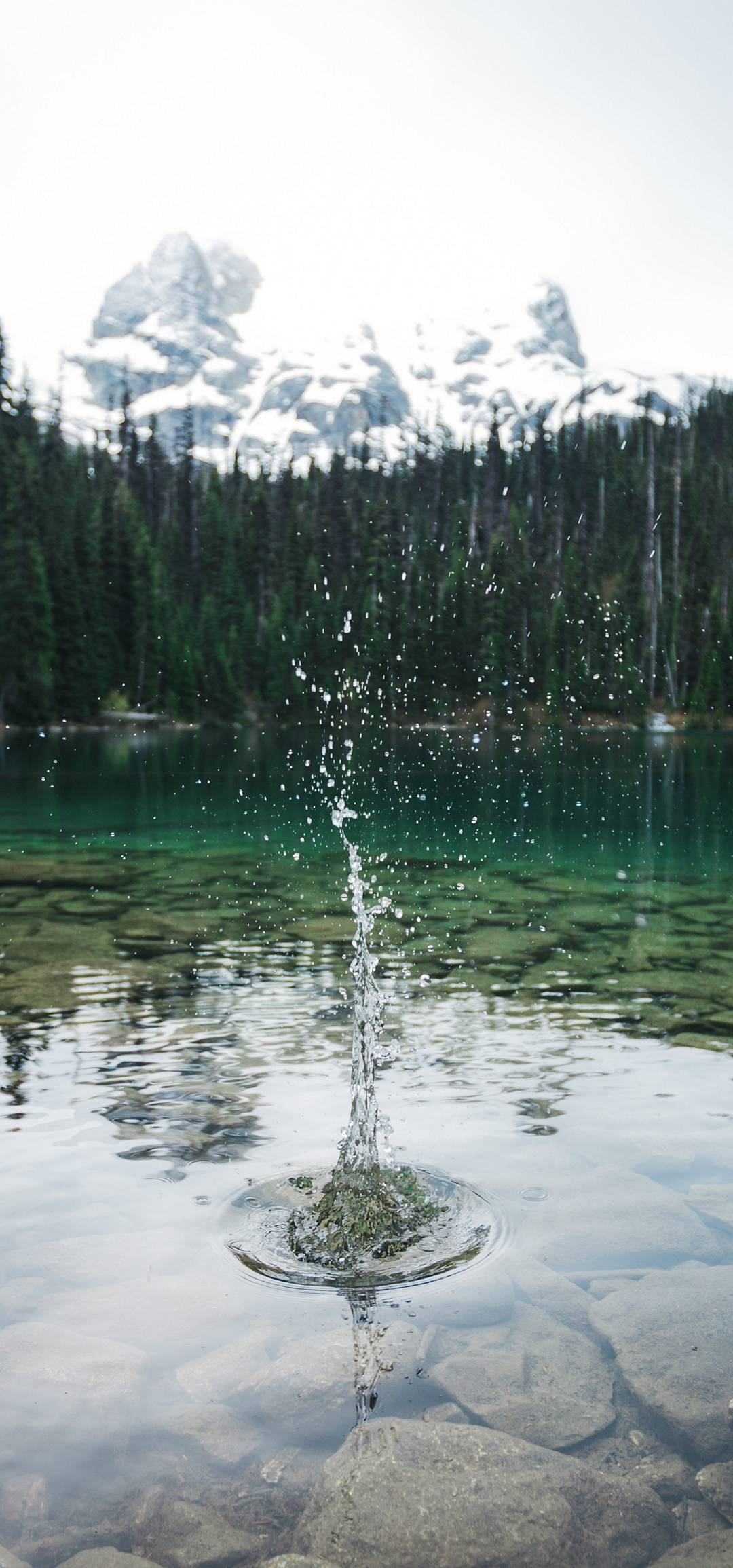 1080x2310 Wallpaper