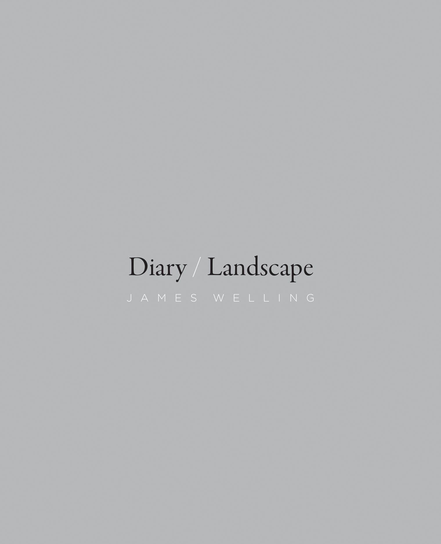 1520x1874 Diary Landscape, Welling, Witkovsky