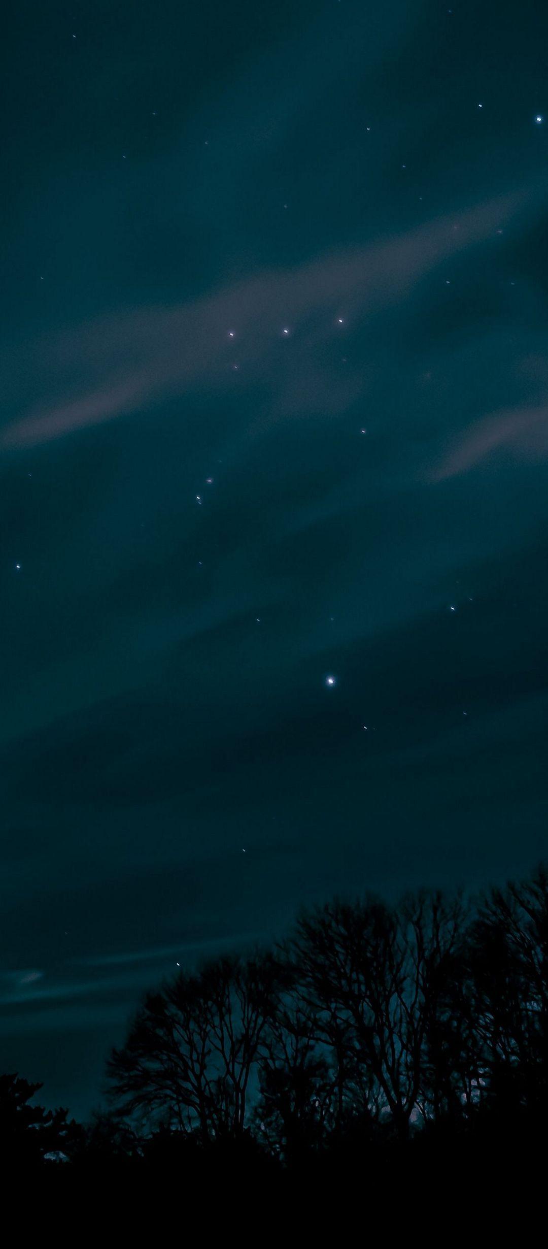 1080x2460 Bầu trời đêm Cây sao - [1080x2460]