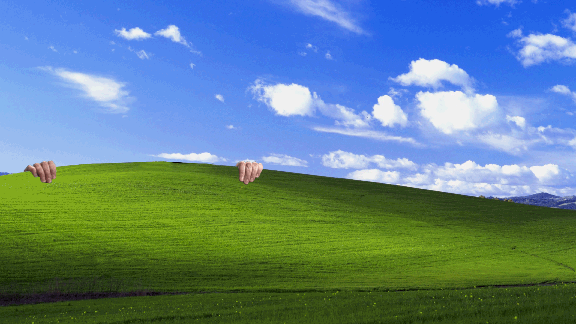 1920x1080 Wallpaper GIF
