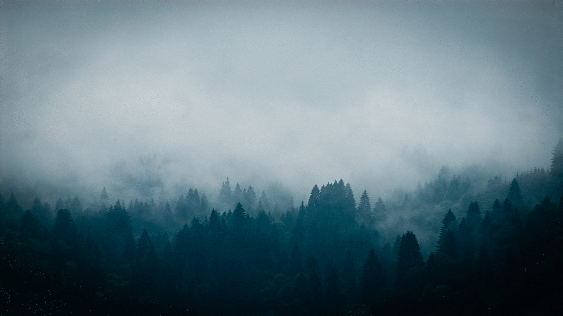 1920x1080 Wallpaper GIF