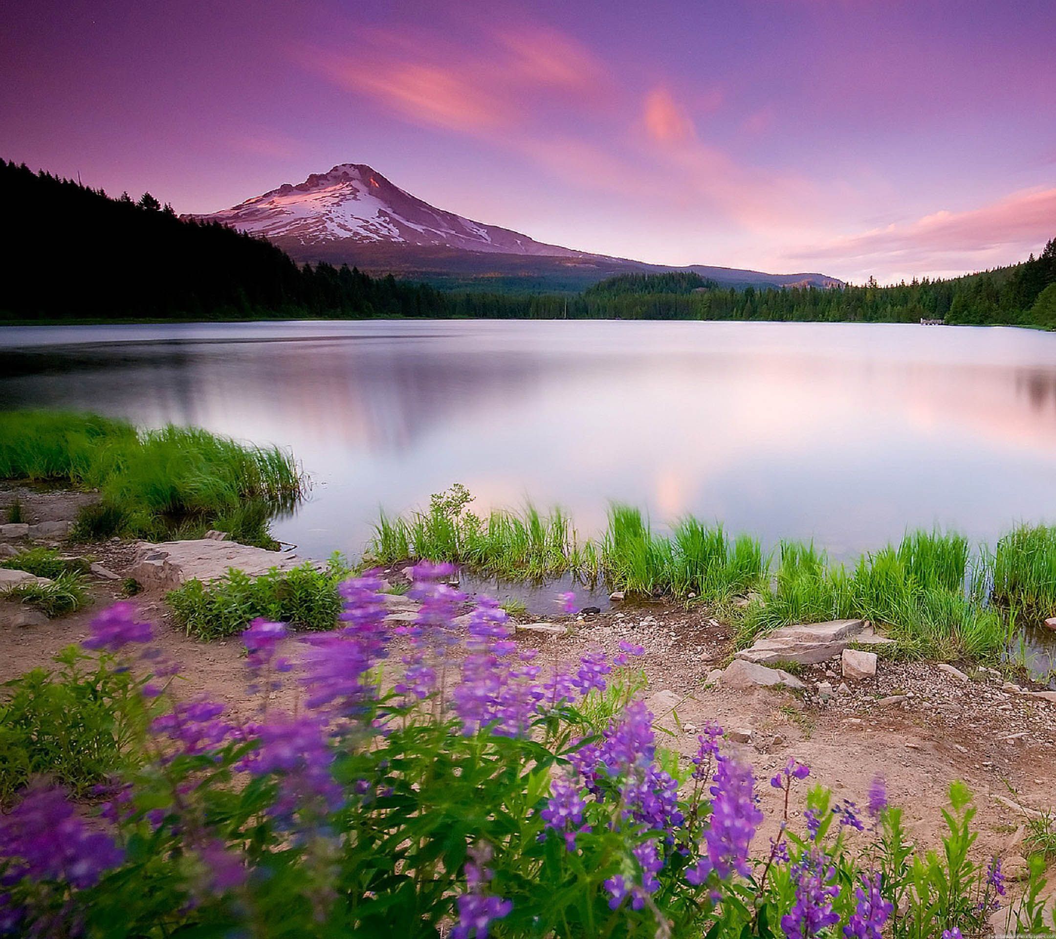 2160x1920 nature wallpaper gif Wallpaper