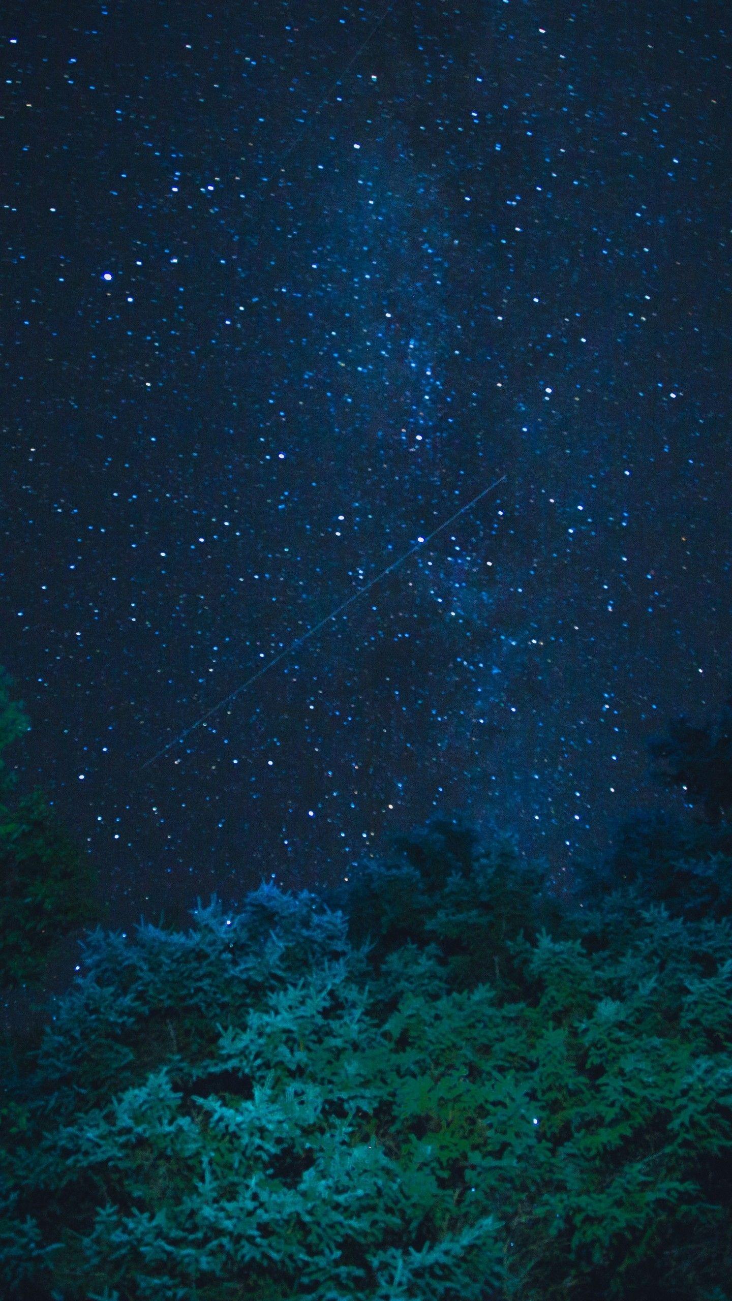 1440x2560 Starry Sky Stars Night Trees hình nền - [1440x2560]