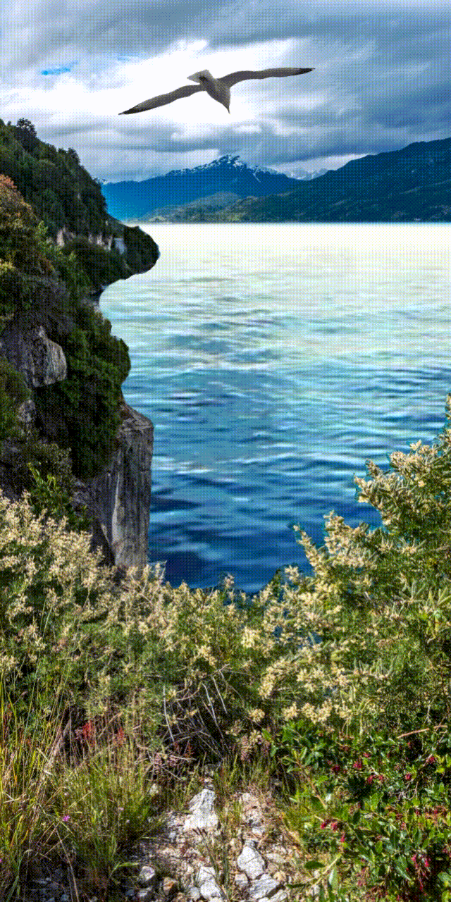 640x1280 Discover gif animated GIFs shared
