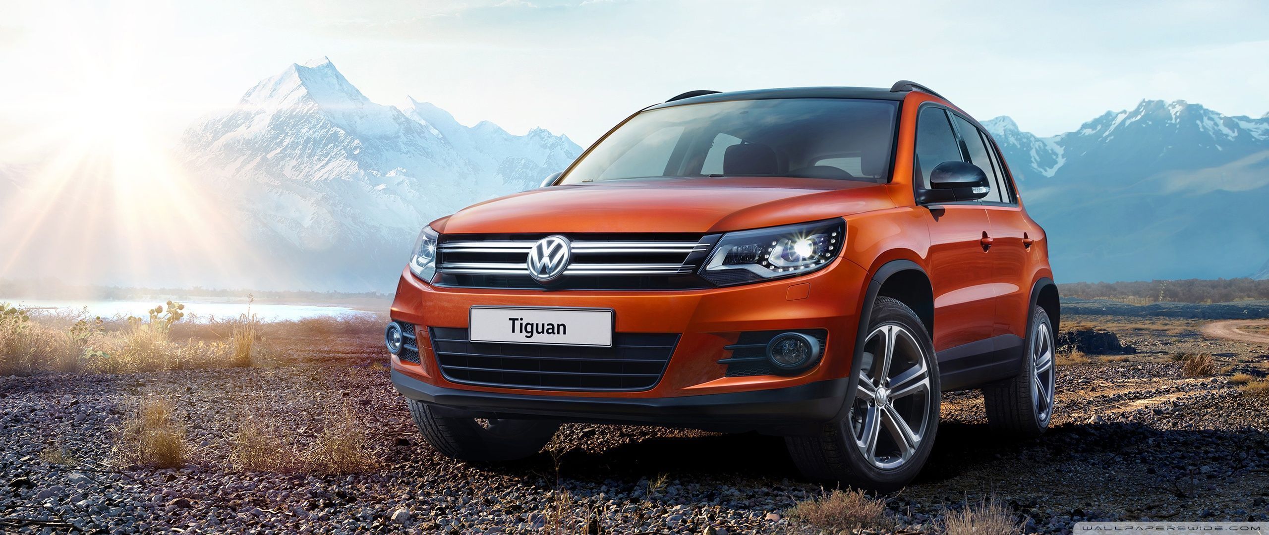 2560x1080 Volkswagen Tiguan SUV Ultra HD
