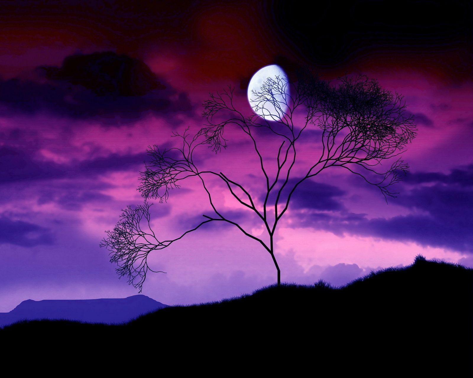 1600x1280 Moon HD Wallpaper Background Wallpaper 1600x1280