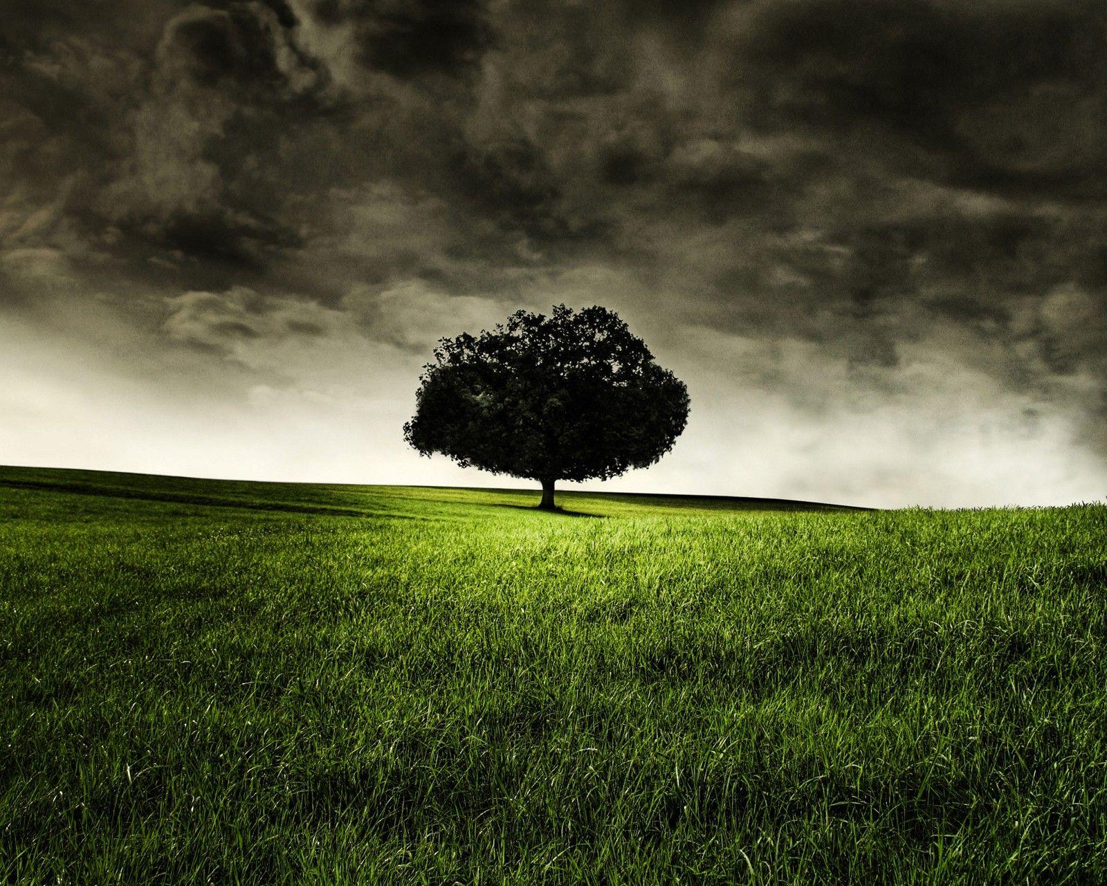 1600x1280 Natural Beauty Nature HD Wallpaper No. 0118 1600x1280