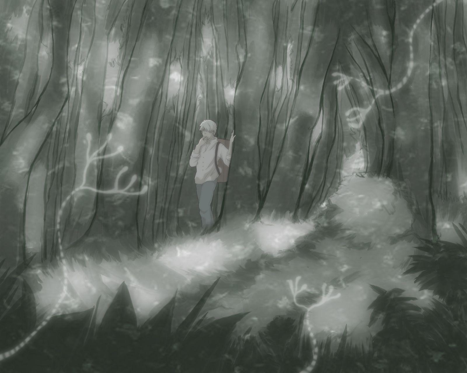 1600x1280 Mushishi Wallpaperx1280