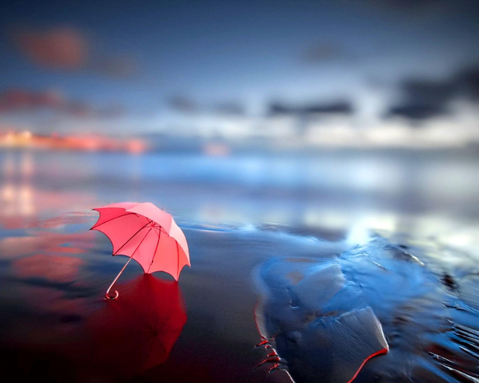 1600x1280 Wallpaper HD
