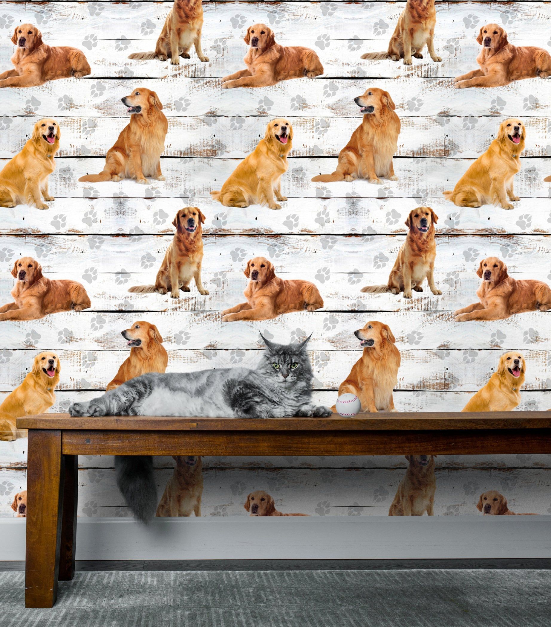 1844x2096 Cute Dog Wallpaper, Golden Retriever