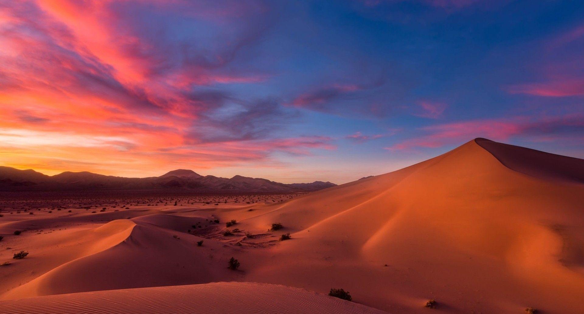 1920x1035 Download 1920x1035 Desert, Sunset, Relaxing, Sands, Shrubs