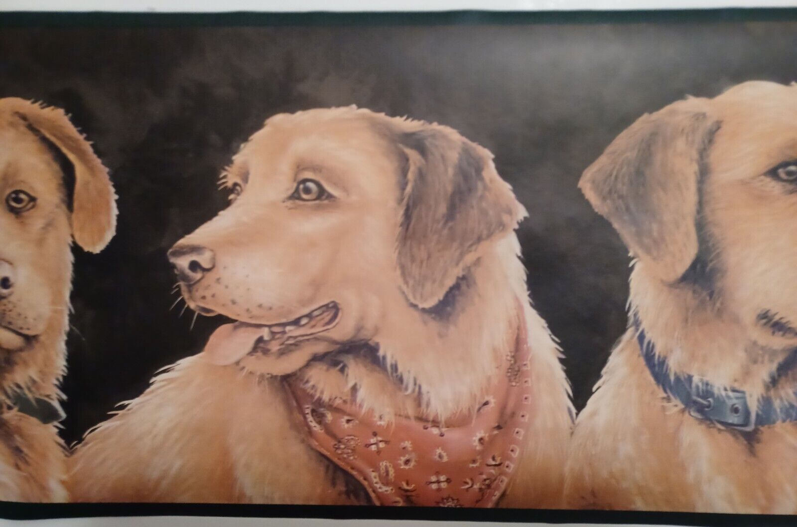 1600x1057 Country Golden Retriever Dogs Wallpaper