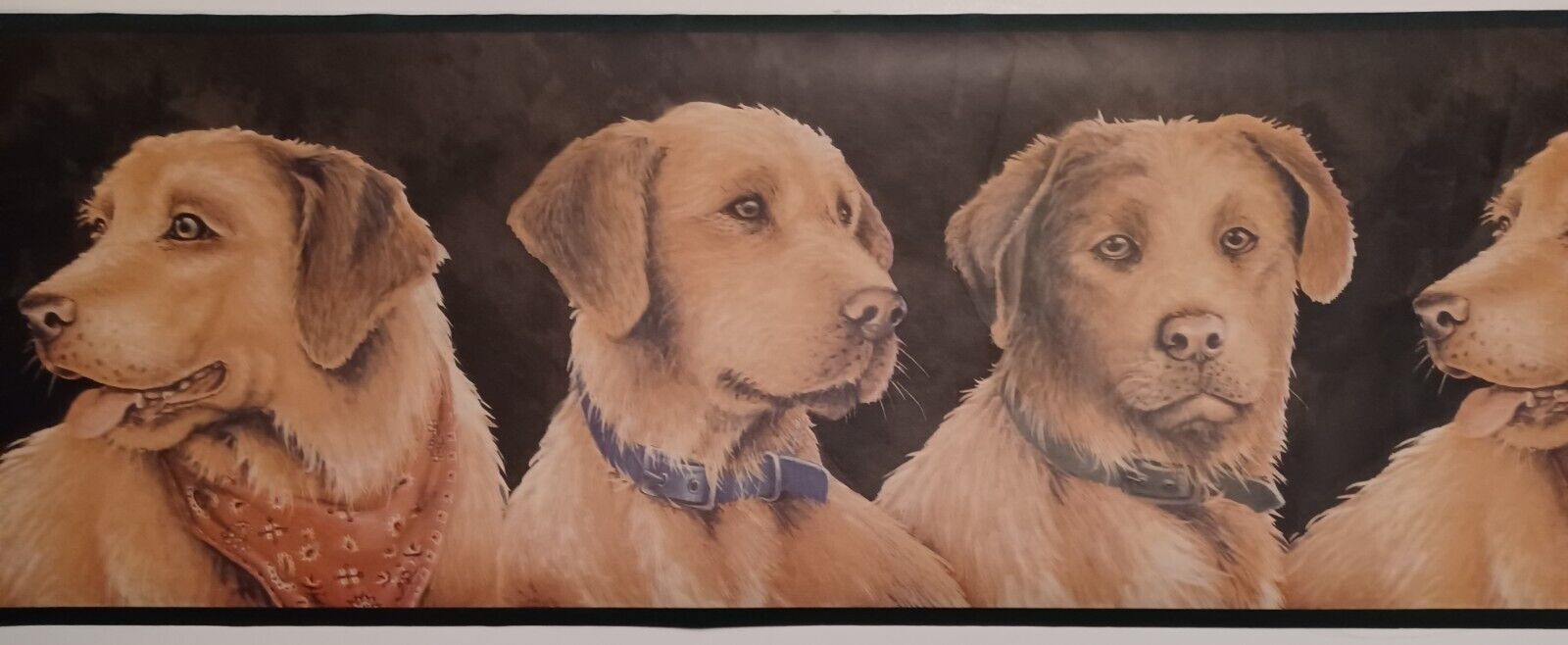 1600x658 Country Golden Retriever Dogs Wallpaper