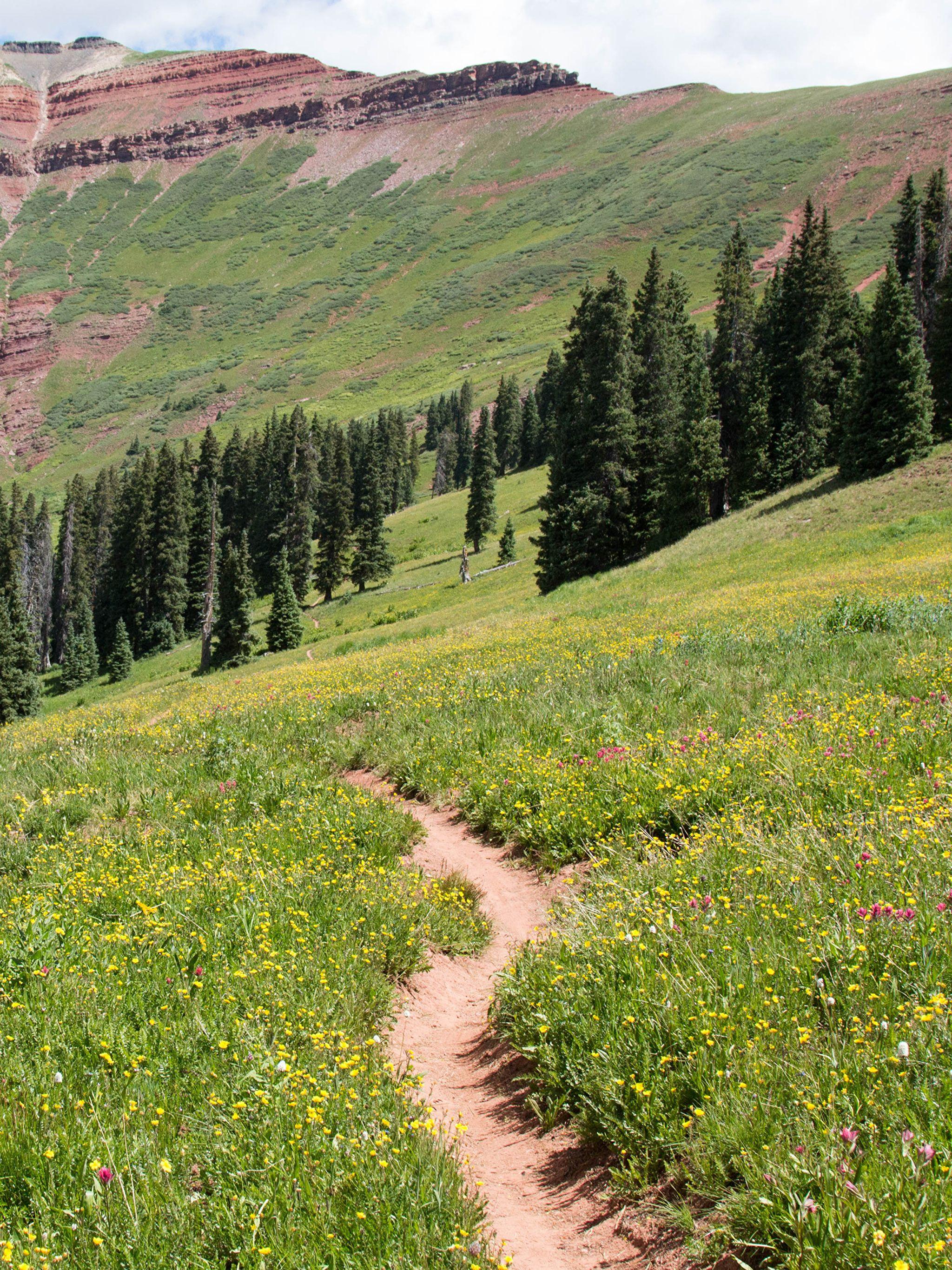 2048x2732 Hình nền Hoa Kỳ Colorado Trail Nature Spruce Mountains 2048x2732